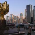 Golden Bauhinia