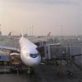 Hong Kong Airport:<BR />Possibly the Airbus A330 I went to Bangkok on