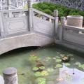 Temple Grounds
