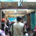 Oceanarium Viewing Tunnel