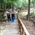 Steps to Seven Wells