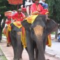 Elephant Riders