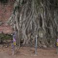 Wat Mahathat